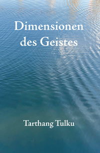 Vorderes Coverbild Dimensionen des Geistes E-Book
