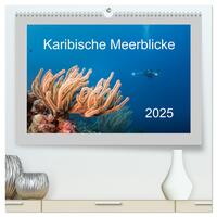 Vorderes Coverbild Karibische Meerblicke (hochwertiger Premium Wandkalender 2025 DIN A2 quer), Kunstdruck in Hochglanz