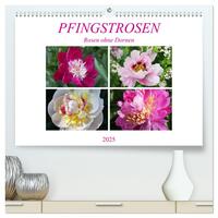 Vorderes Coverbild PFINGSTROSEN Rosen ohne Dornen (hochwertiger Premium Wandkalender 2025 DIN A2 quer), Kunstdruck in Hochglanz