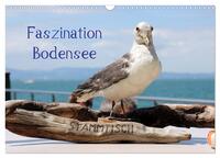 Vorderes Coverbild Faszination Bodensee (Wandkalender 2025 DIN A3 quer), CALVENDO Monatskalender
