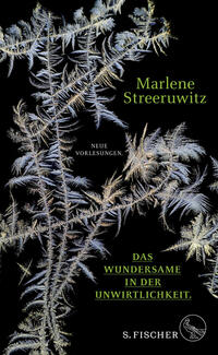 Vorderes Coverbild Das Wundersame in der Unwirtlichkeit.