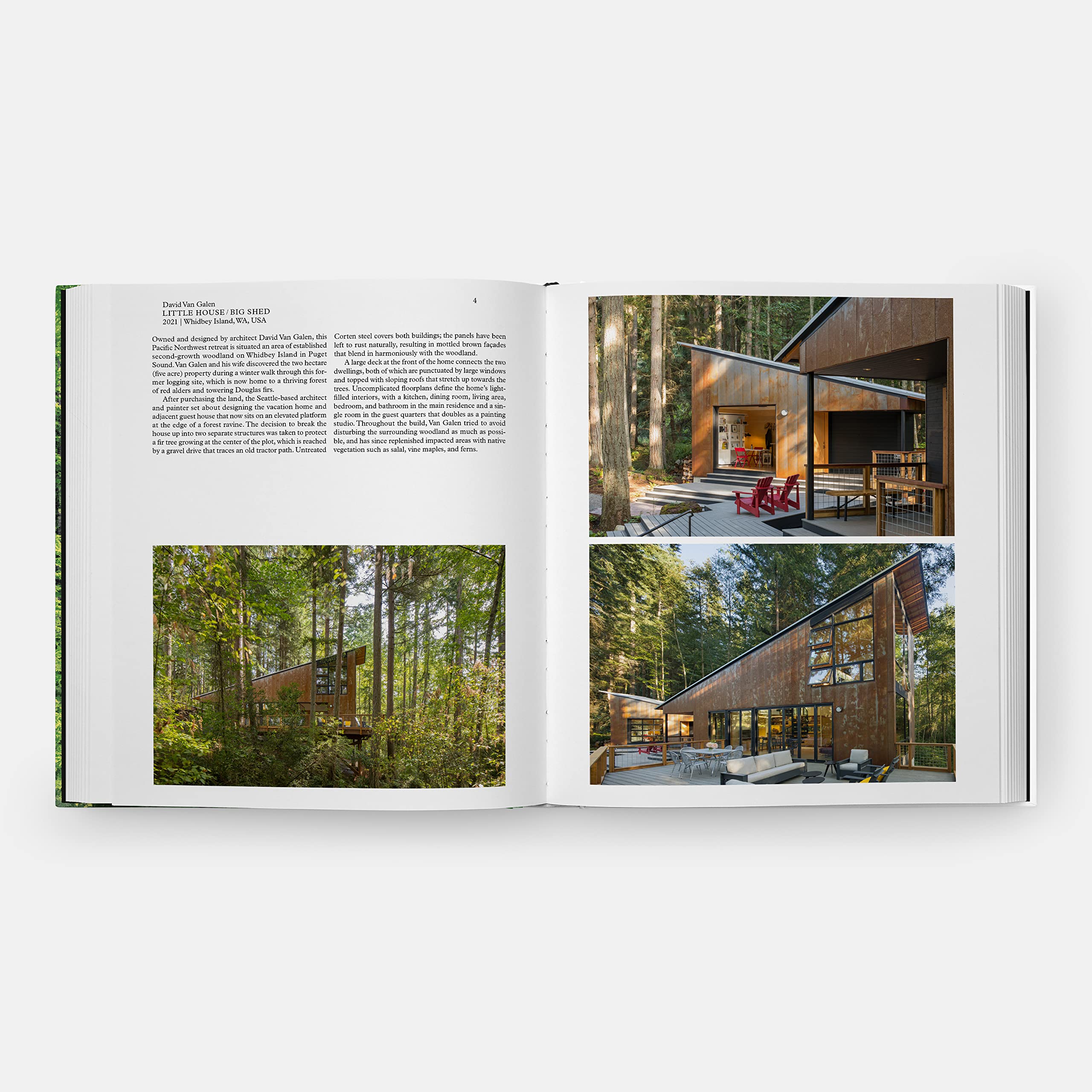 Beispielinhalt (Bild) Living in the Forest