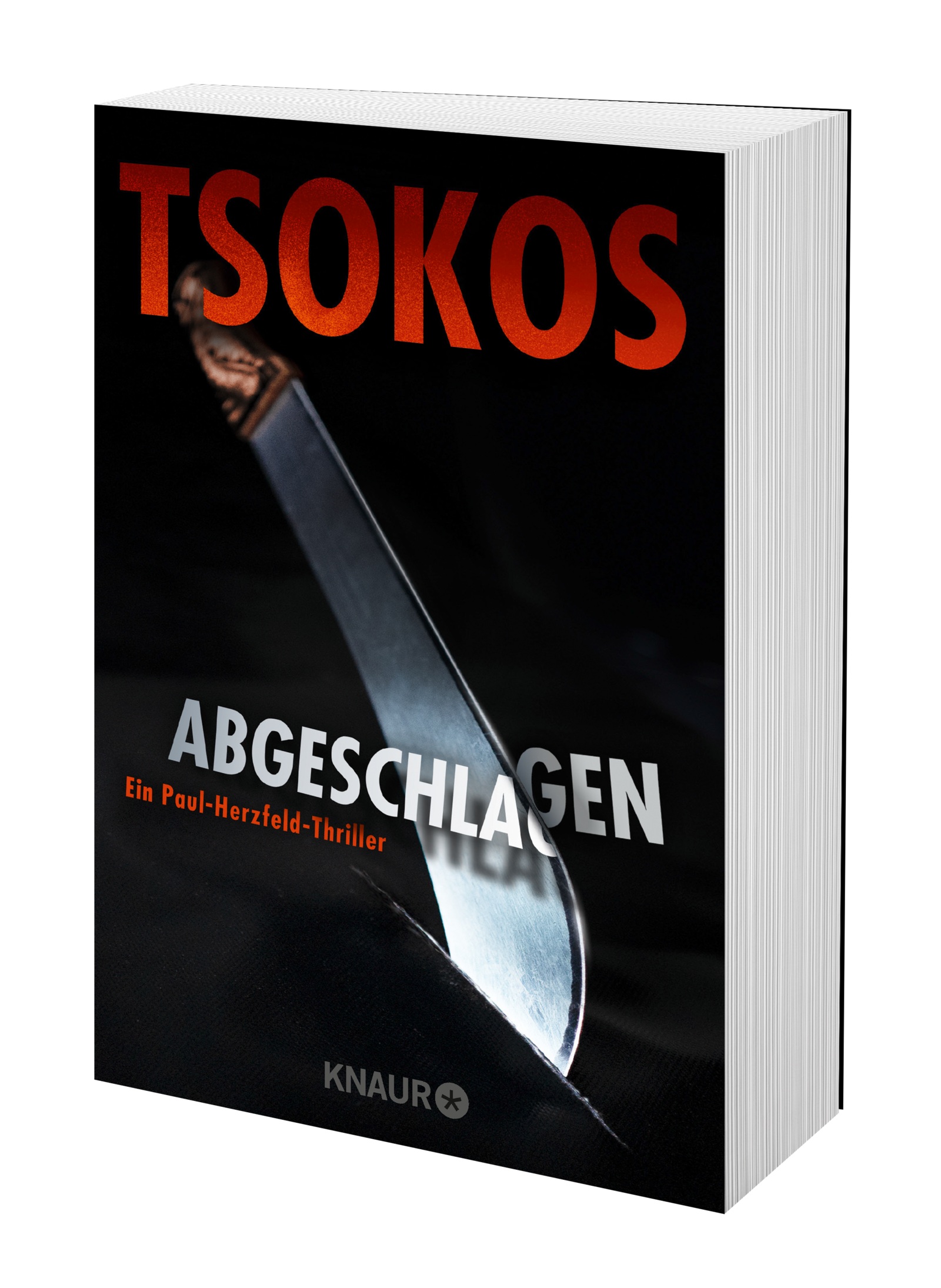 Anderes Coverbild Abgeschlagen