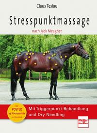 Vorderes Coverbild Stresspunktmassage nach Jack Meagher