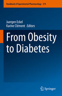 Vorderes Coverbild From Obesity to Diabetes