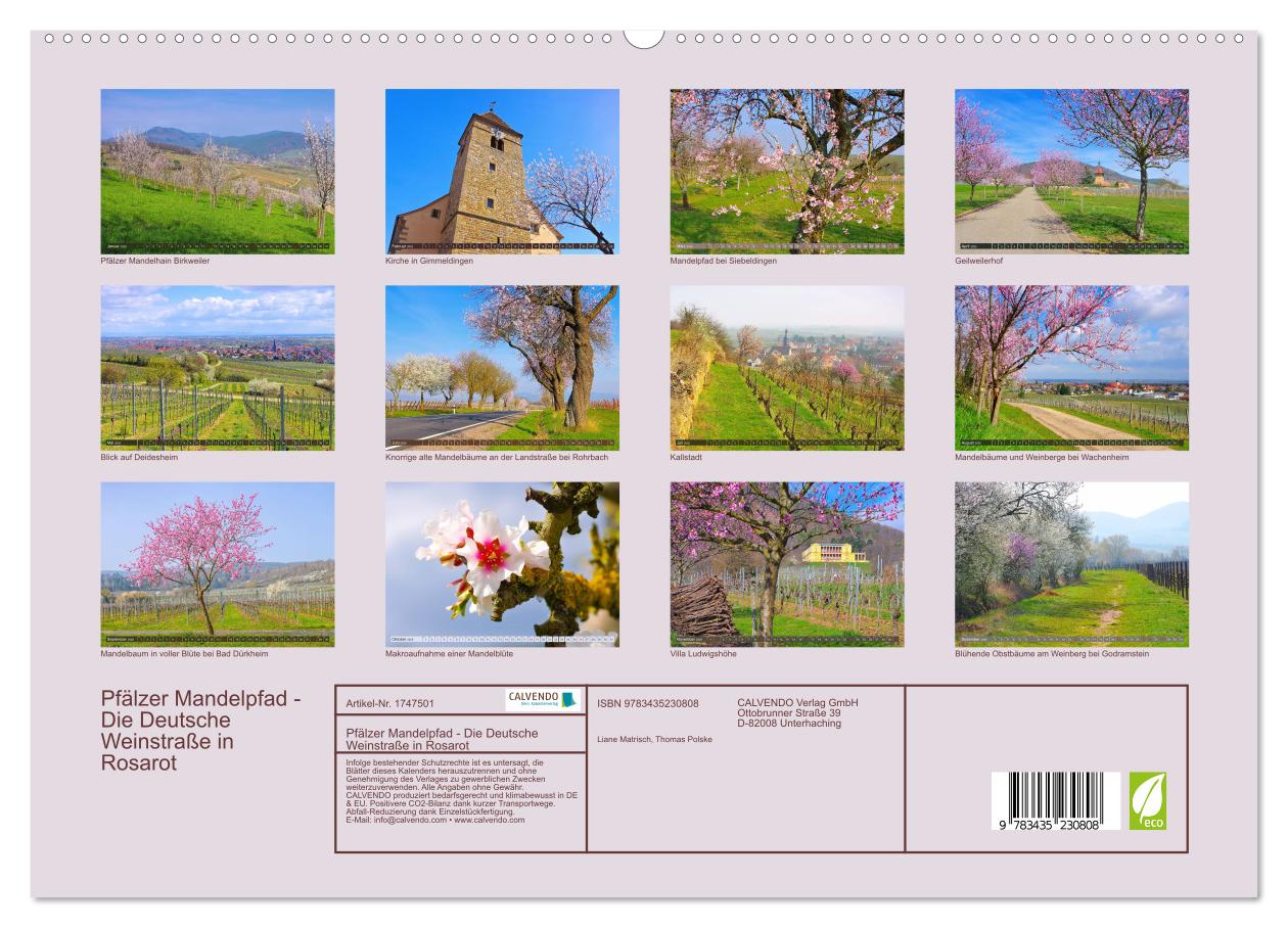 Beispielinhalt (Bild) Pfälzer Mandelpfad - Die Deutsche Weinstraße in Rosarot (hochwertiger Premium Wandkalender 2025 DIN A2 quer), Kunstdruck in Hochglanz