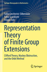 Vorderes Coverbild Representation Theory of Finite Group Extensions