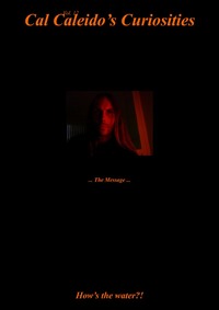 Vorderes Coverbild Cal Caleido’s Curiosities / Cal Caleido’s Curiosities (Vol. 12) ... The Message ...