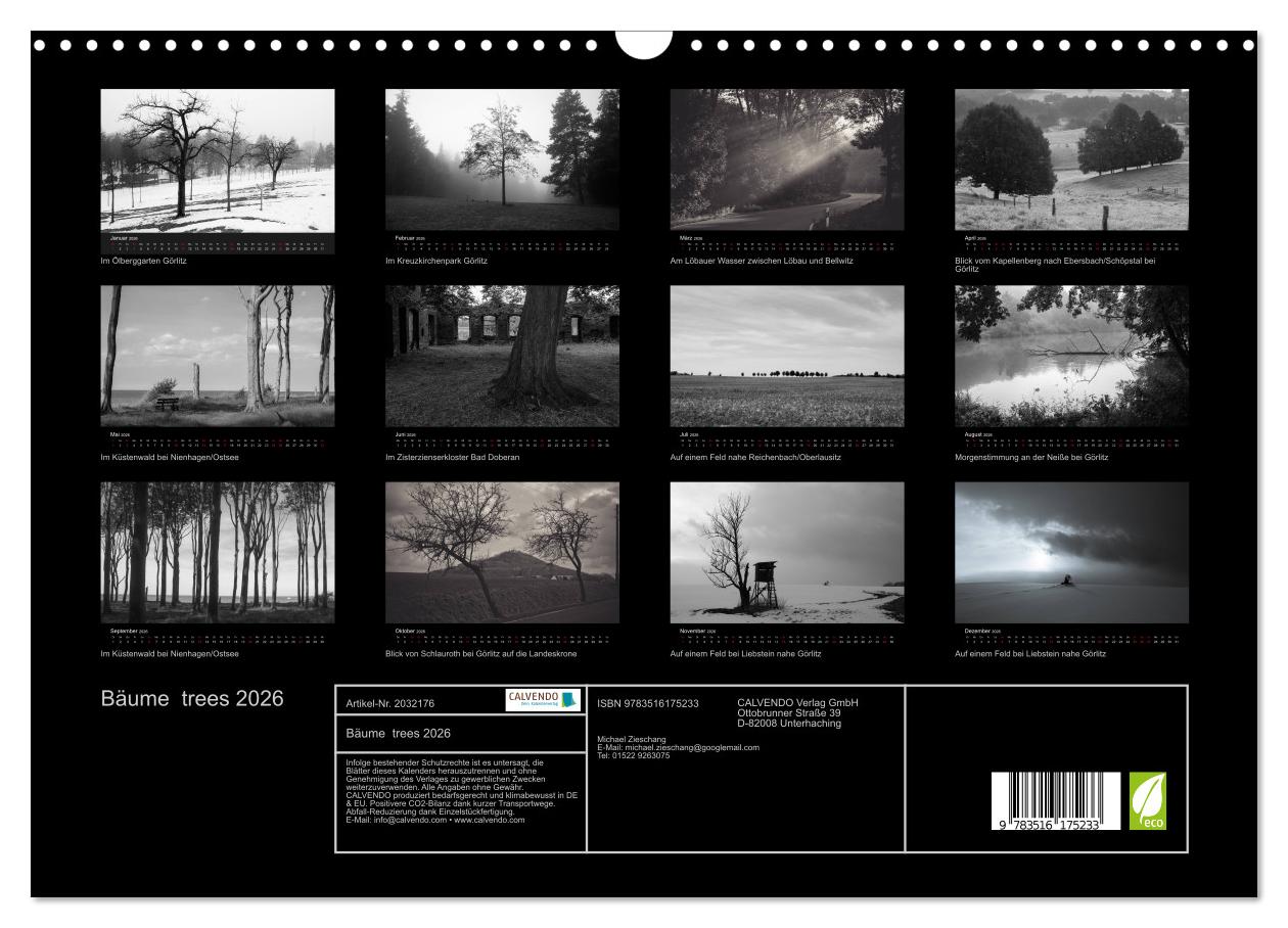 Beispielinhalt (Bild) Bäume trees 2026 (Wandkalender 2026 DIN A3 quer), CALVENDO Monatskalender