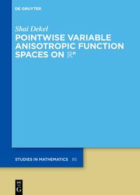 Vorderes Coverbild Pointwise Variable Anisotropic Function Spaces on Rn