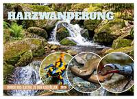 Vorderes Coverbild Harzwanderung-Durch das Ilsetal zu den Ilsefällen (Wandkalender 2026 DIN A2 quer), CALVENDO Monatskalender