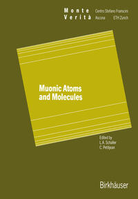 Vorderes Coverbild Muonic Atoms and Molecules