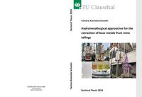 Vorderes Coverbild Hydrometallurgical approaches for the extraction of base metals from mine tailings