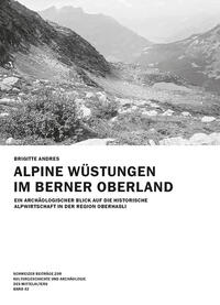 Vorderes Coverbild Alpine Wüstungen im Oberhasli
