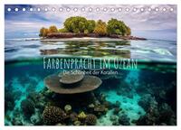 Vorderes Coverbild Farbenpracht im Ozean - Die Schönheit der Korallen (Tischkalender 2025 DIN A5 quer), CALVENDO Monatskalender