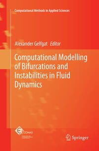 Vorderes Coverbild Computational Modelling of Bifurcations and Instabilities in Fluid Dynamics