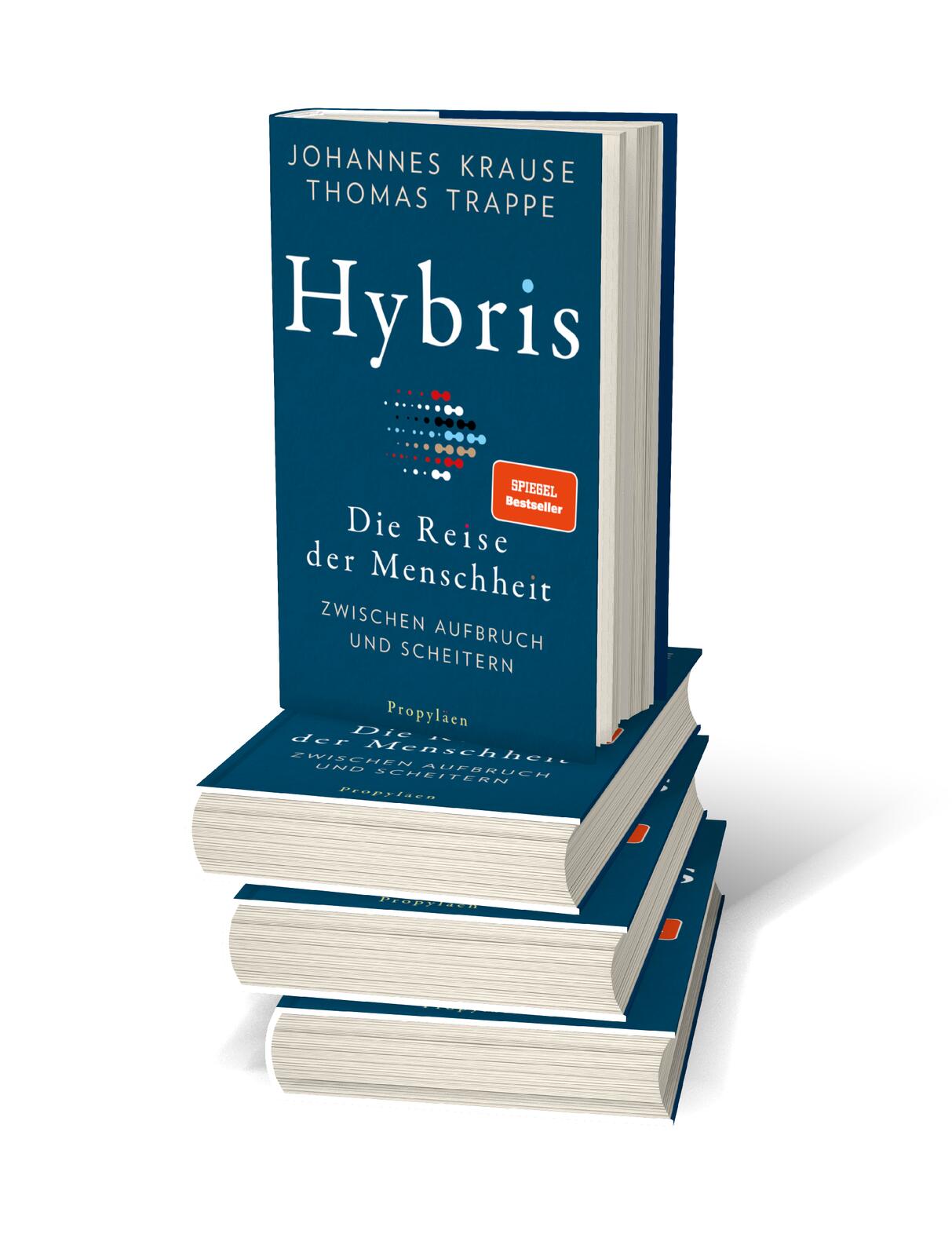 Beispielinhalt (Bild) Hybris