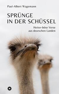 Vorderes Coverbild Sprünge in der Schüssel - 148 zeitgeistkritische Gedichte im Stil von Limericks