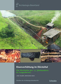 Vorderes Coverbild Eisenverhüttung im Dürsteltal