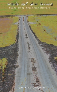 Vorderes Coverbild Schule auf dem Irrweg