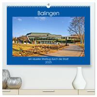 Vorderes Coverbild Balingen - ein visueller Streifzug durch die Stadt (hochwertiger Premium Wandkalender 2025 DIN A2 quer), Kunstdruck in Hochglanz