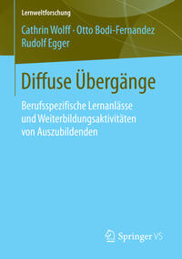 Vorderes Coverbild Diffuse Übergänge