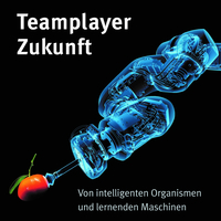 Vorderes Coverbild Teamplayer Zukunft