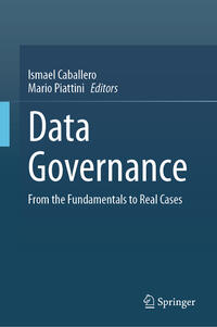 Vorderes Coverbild Data Governance