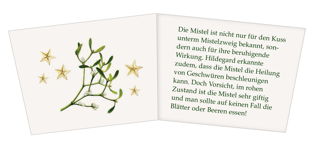 Beispielinhalt (Bild) Wandkalender