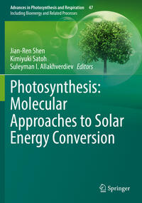 Vorderes Coverbild Photosynthesis: Molecular Approaches to Solar Energy Conversion