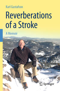 Vorderes Coverbild Reverberations of a Stroke