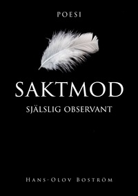 Vorderes Coverbild Saktmod
