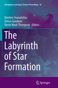 Vorderes Coverbild The Labyrinth of Star Formation