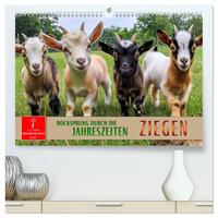 Vorderes Coverbild Ziegen - Bocksprung durch das Jahr (hochwertiger Premium Wandkalender 2025 DIN A2 quer), Kunstdruck in Hochglanz