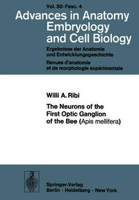 Vorderes Coverbild The Neurons of the First Optic Ganglion of the Bee (Apis mellifera)