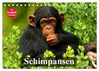 Vorderes Coverbild Schimpansen (Tischkalender 2026 DIN A5 quer), CALVENDO Monatskalender