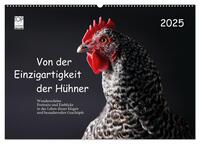 Vorderes Coverbild Von der Einzigartigkeit der Hühner 2025 (Wandkalender 2025 DIN A2 quer), CALVENDO Monatskalender