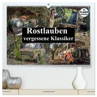 Vorderes Coverbild Rostlauben - vergessene Klassiker (hochwertiger Premium Wandkalender 2025 DIN A2 quer), Kunstdruck in Hochglanz