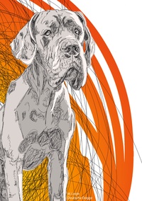 Vorderes Coverbild Deutsche Dogge