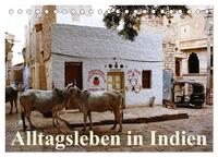 Vorderes Coverbild Alltagsleben in Indien (Tischkalender 2025 DIN A5 quer), CALVENDO Monatskalender