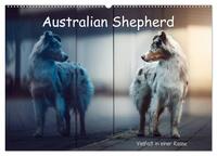 Vorderes Coverbild Australian Shepherd - Vielfalt in einer Rasse (Wandkalender 2025 DIN A2 quer), CALVENDO Monatskalender