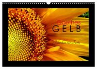 Vorderes Coverbild Goethes Gelb Gedanken zur Farbe (Wandkalender 2025 DIN A3 quer), CALVENDO Monatskalender