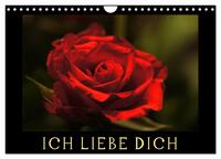 Vorderes Coverbild Ich liebe Dich (Wandkalender 2025 DIN A4 quer), CALVENDO Monatskalender