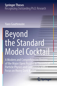 Vorderes Coverbild Beyond the Standard Model Cocktail
