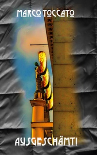 Vorderes Coverbild Ausgeschämt!