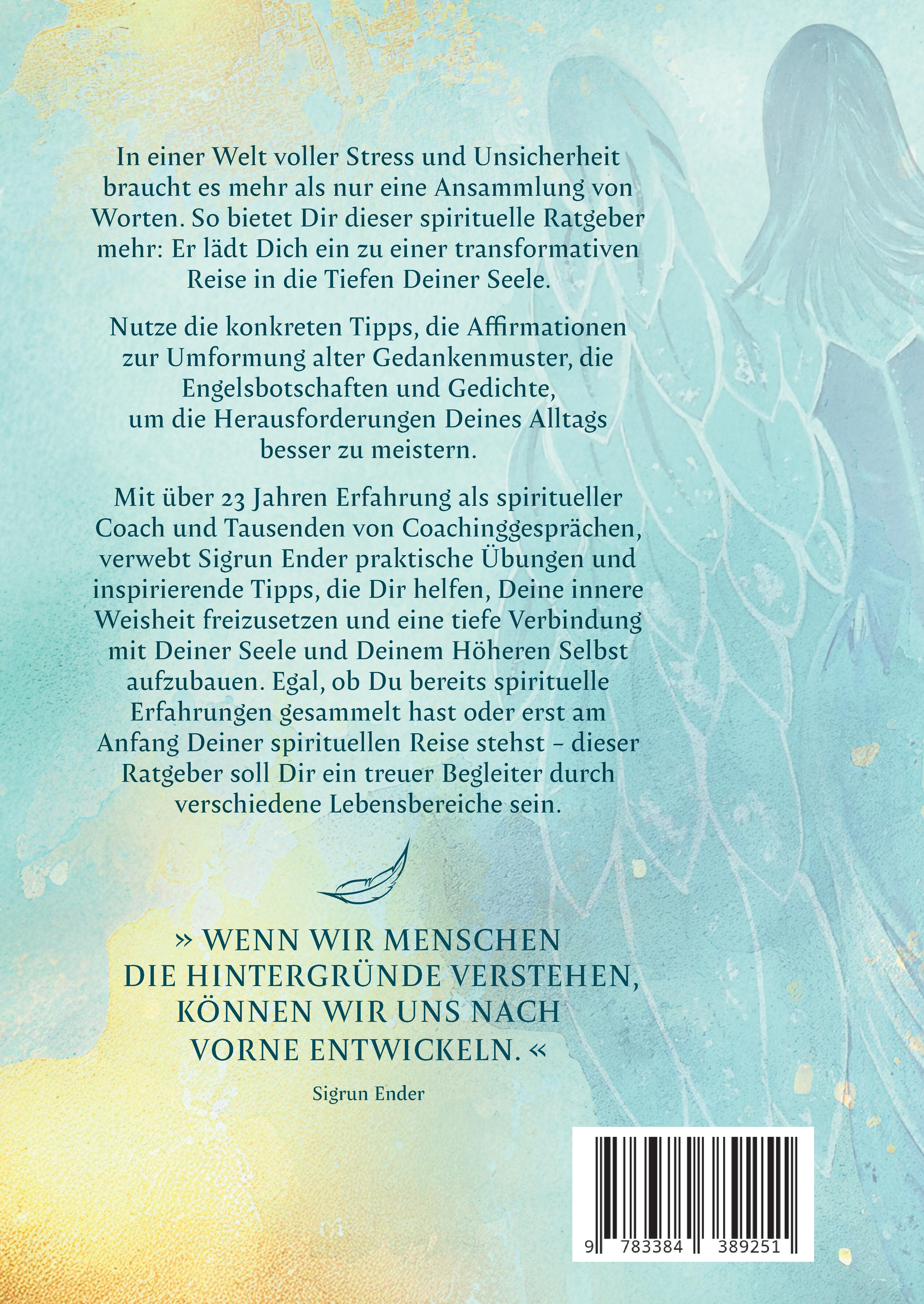 Rückseitencover Himmlisch geführt