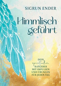 Vorderes Coverbild Himmlisch geführt