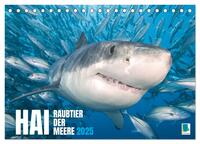 Vorderes Coverbild Hai: Raubtier der Meere (Tischkalender 2025 DIN A5 quer), CALVENDO Monatskalender