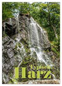 Vorderes Coverbild Typisch Harz (Wandkalender 2026 DIN A3 hoch), CALVENDO Monatskalender