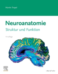 Vorderes Coverbild Neuroanatomie